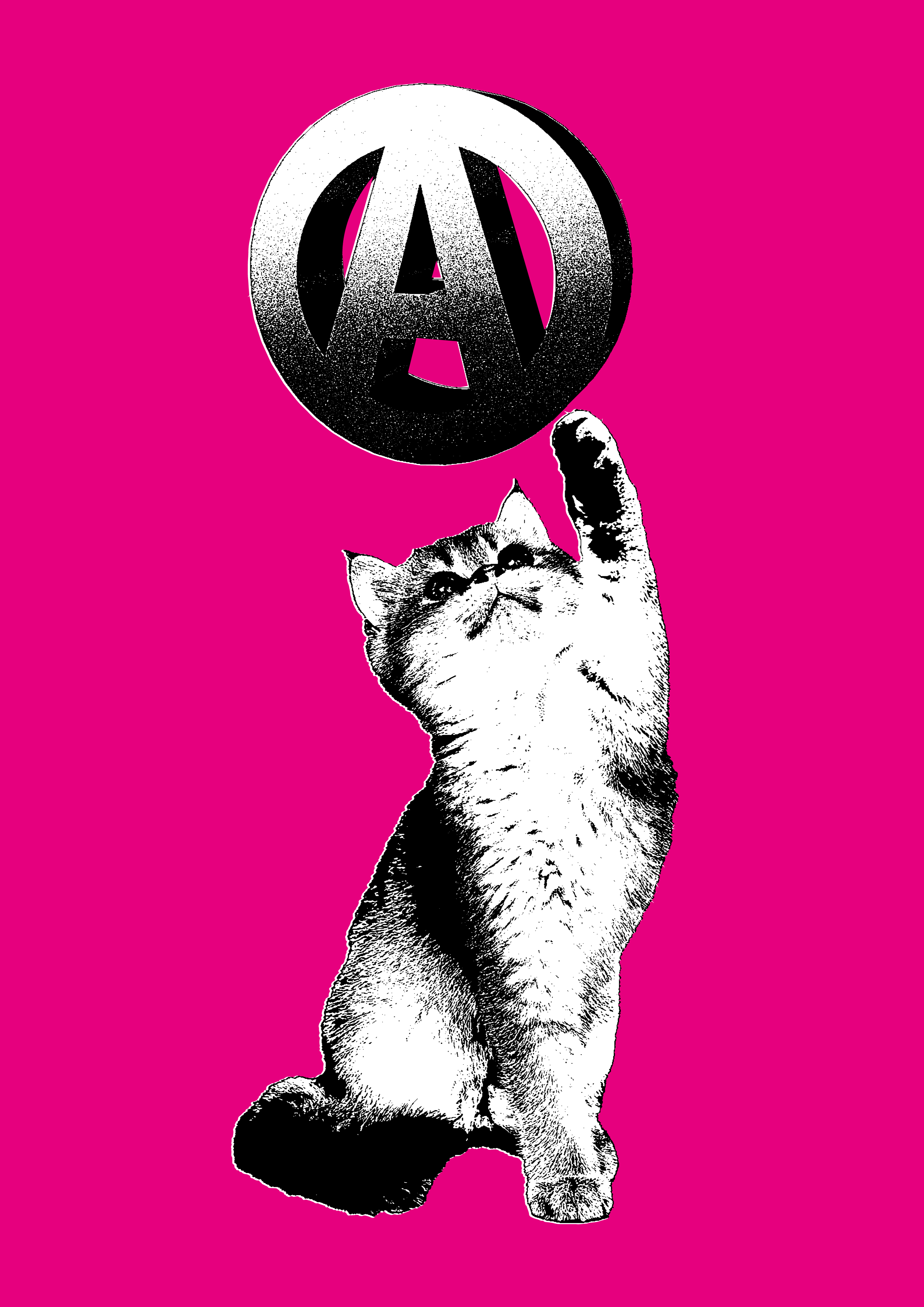 Anarchist Cat