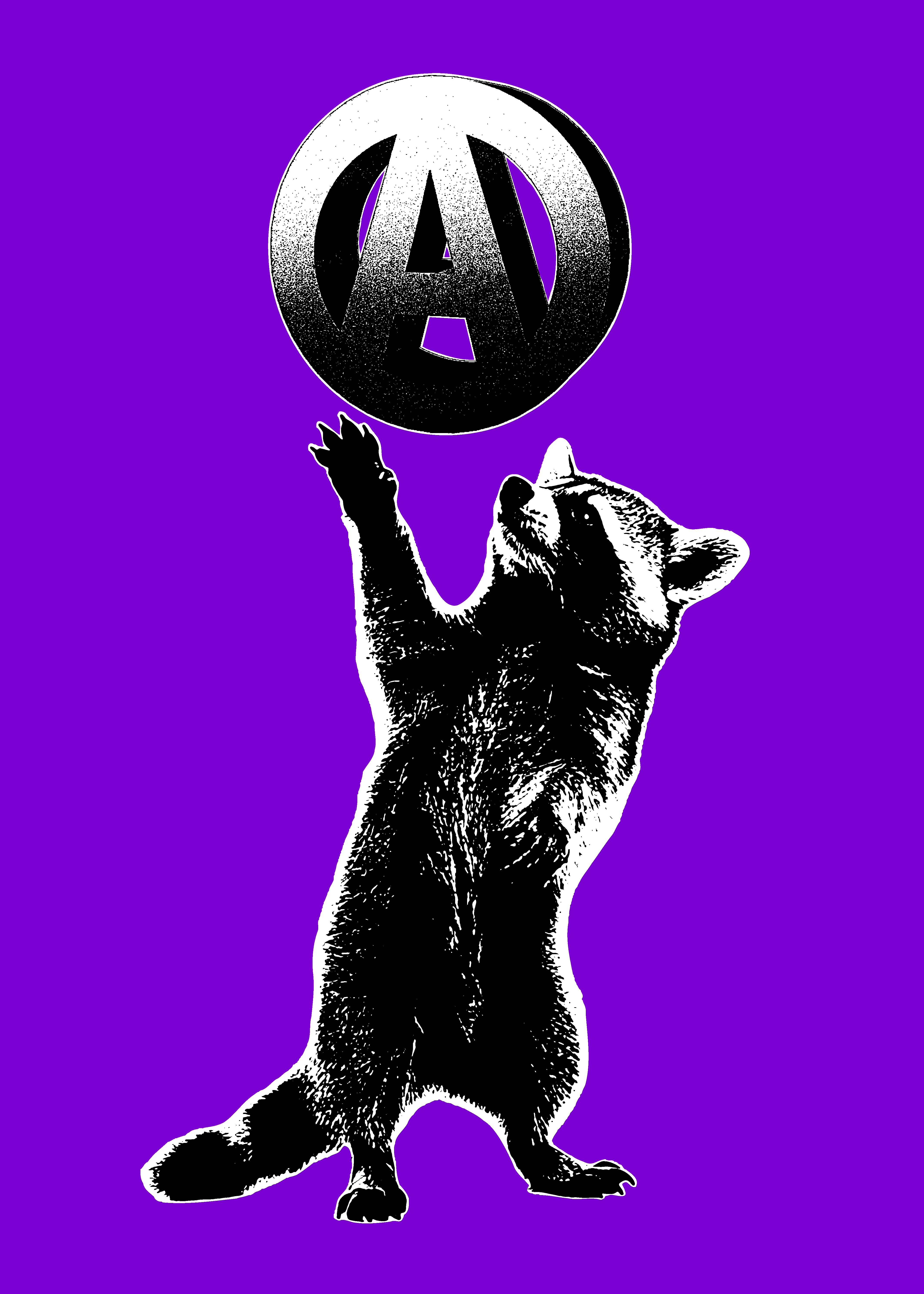 Anarchist Raccoon